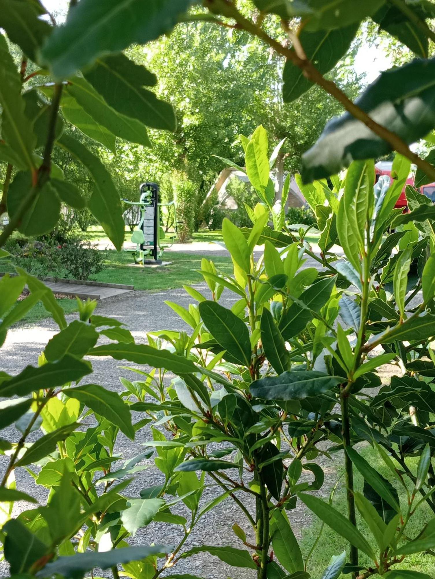Camping Les Mancellieres Avrillé