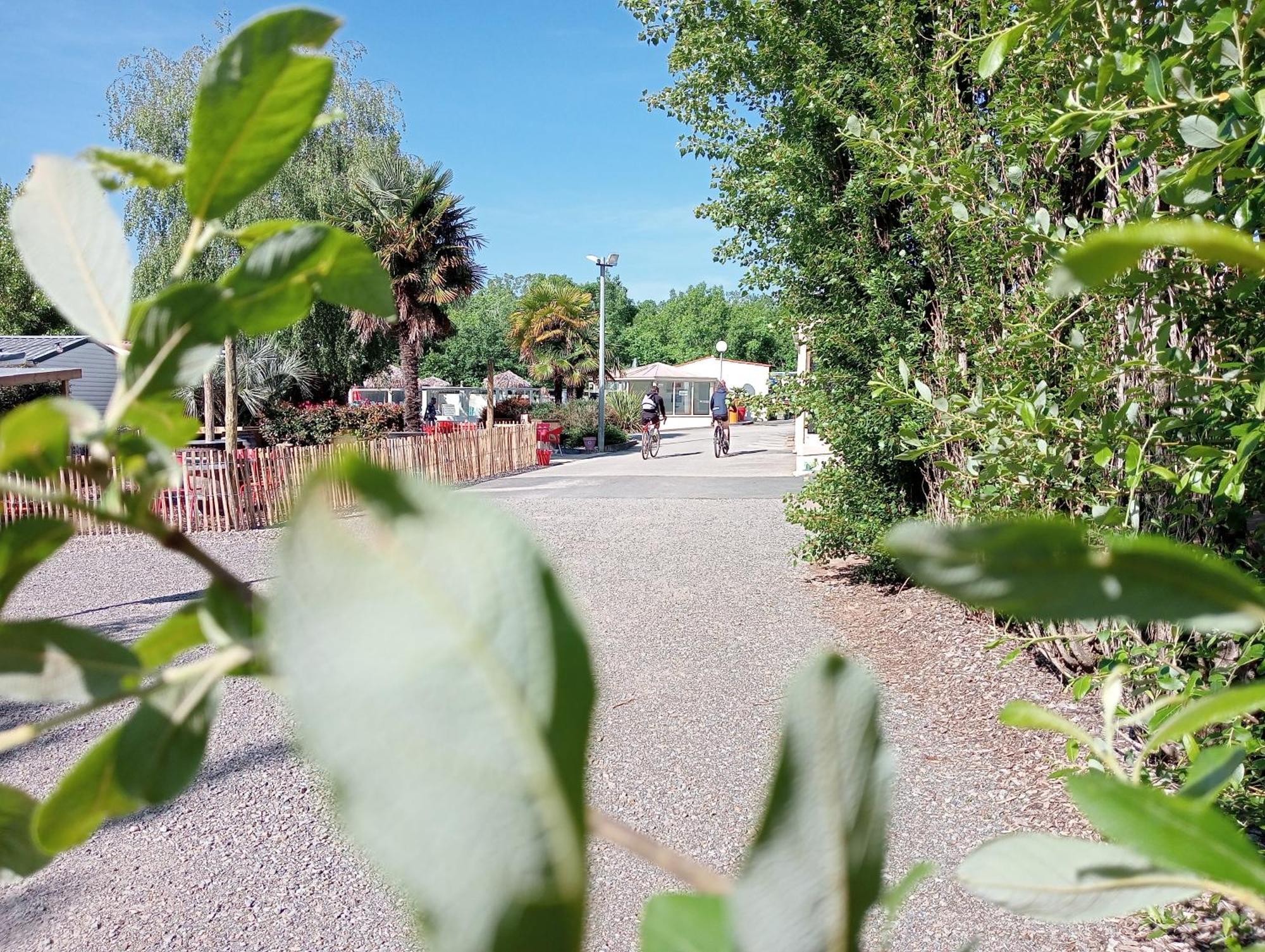 Les Mancellieres Camping
